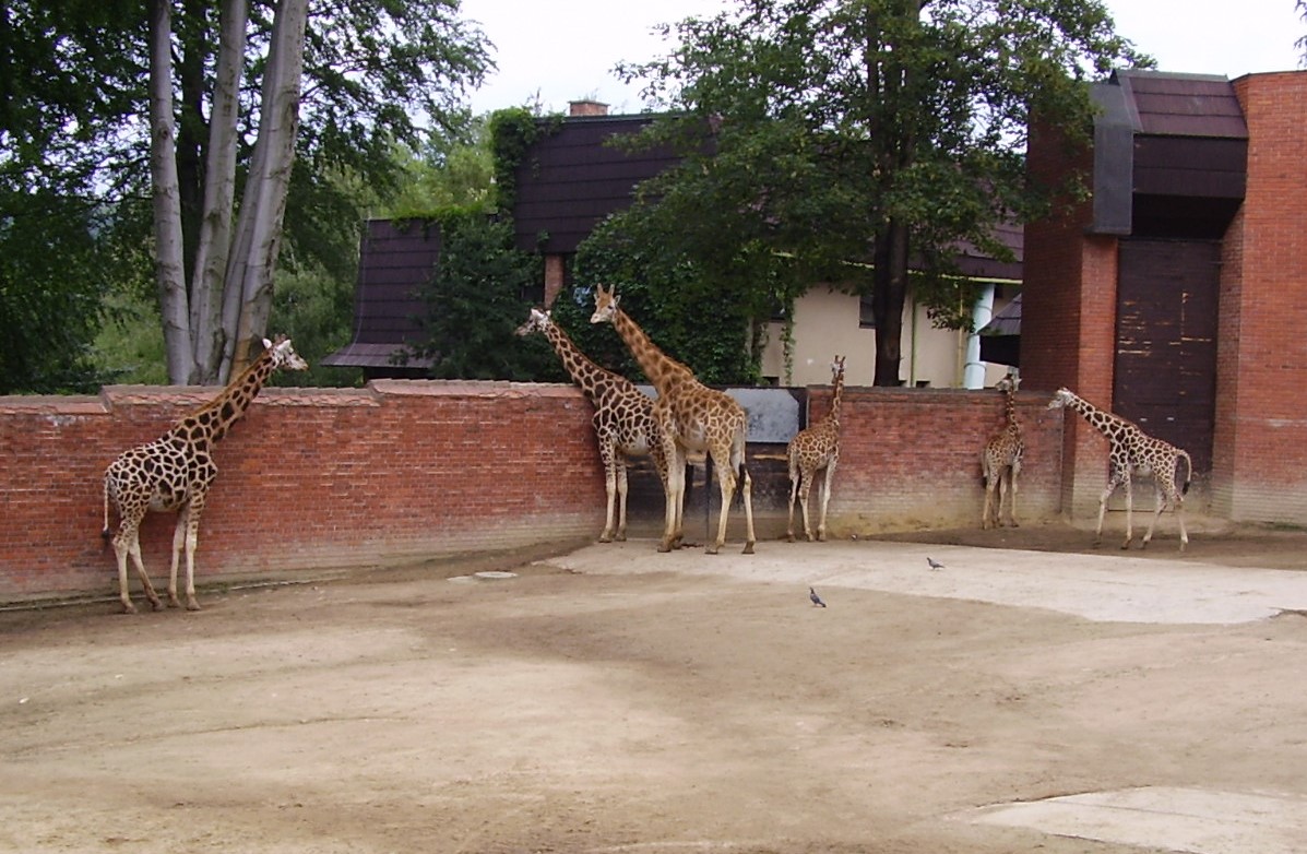 Liberecká_ZOO.JPG